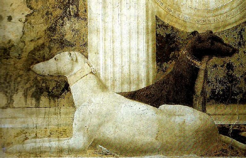 Piero della Francesca detail of the dogs from st sigismund  and sigismondo pandolfo malatesta oil painting image